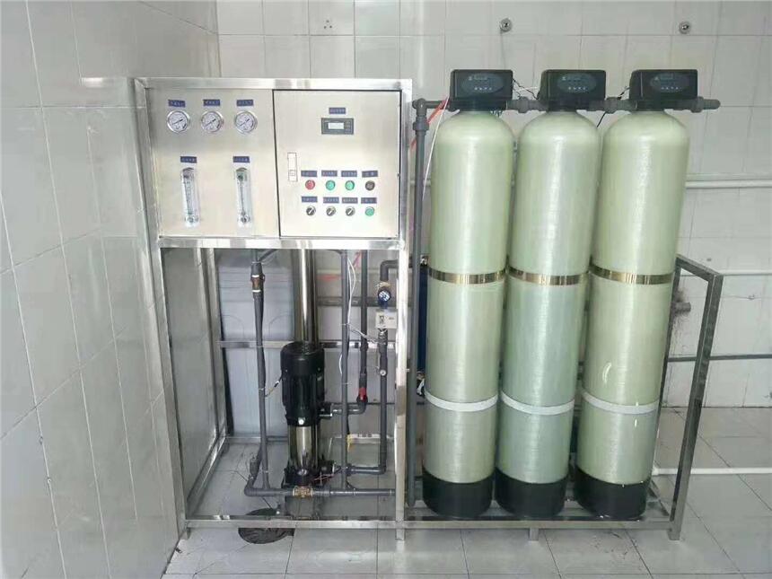 0.5T/H反滲透設(shè)備 食品廠純凈水處理 可做直飲