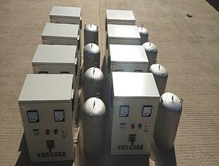 泳池水處理臭氧發(fā)生器 殺菌消毒臭氧消毒器